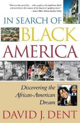 In Search of Black America book