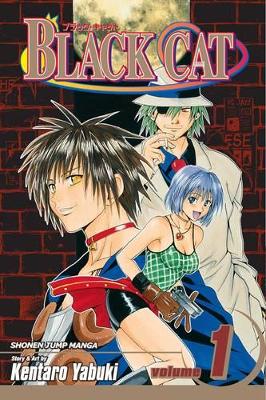 Black Cat, Vol. 9 book