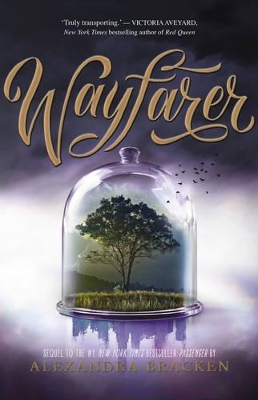 Wayfarer book
