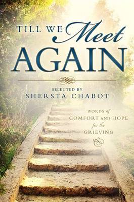 Till We Meet Again book