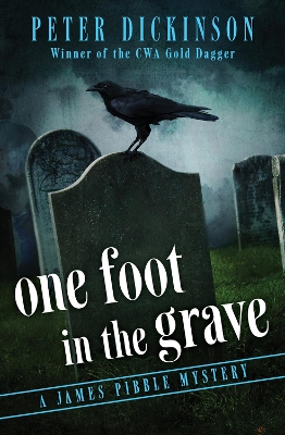 One Foot in the Grave book