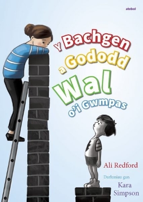 Y Bachgen a Gododd Wal o'i Gwmpas book