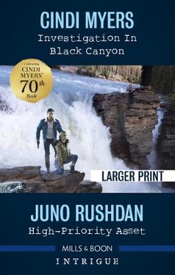 Investigation in Black Canyon/High-Priority Asset book