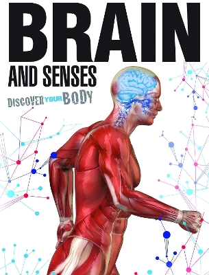 Brain and Senses book
