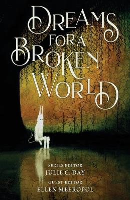 Dreams for a Broken World book