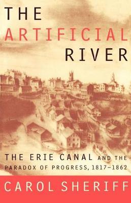 Artificial River by Carol Sheriff