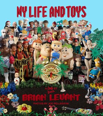 My Life and Toys book