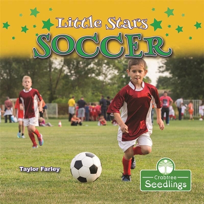Little Stars Soccer book
