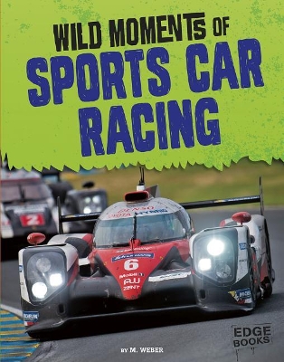 Wild Moments of Sports Car Racing book