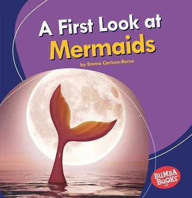 A First Look at Mermaids book
