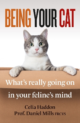 Being Your Cat: What's really going on in your feline's mind book