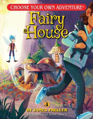 Fairy House book