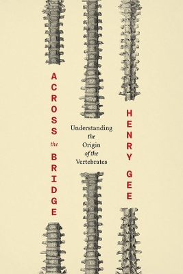 Across the Bridge book