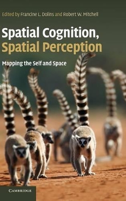 Spatial Cognition, Spatial Perception book