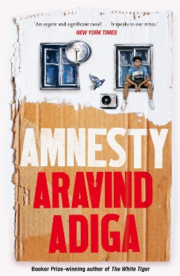 Amnesty book