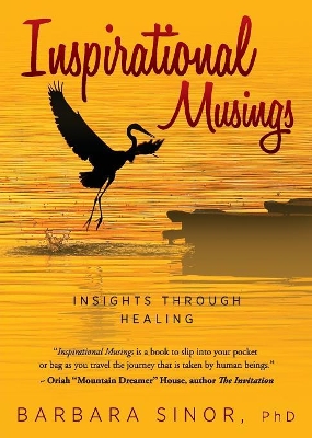 Inspirational Musings: Insights Through Healing by Barbara Sinor