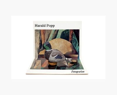 Harald Popp: Fotografien book