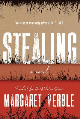Stealing: A Novel book