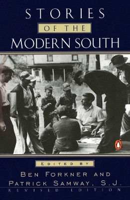 Stories of the Modern South book