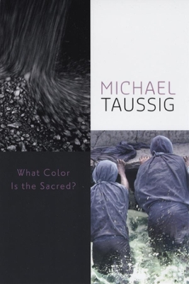 What Color is the Sacred? by Michael Taussig