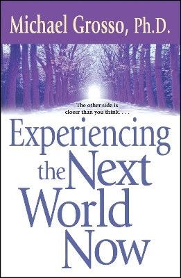 Experiencing the Next World Now book