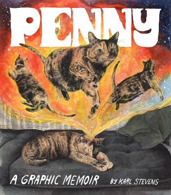 Penny: A Graphic Memoir book