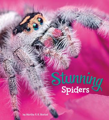 Stunning Spiders book