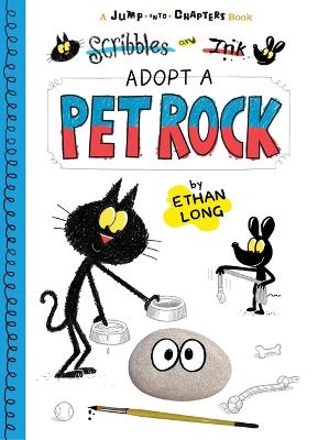 Scribbles and Ink Adopt a Pet Rock book