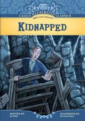 Kidnapped book