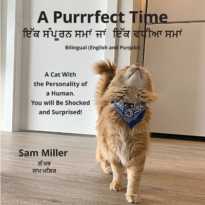 ਇੱਕ ਸੰਪੂਰਨ ਸਮਾਂ ਜਾਂ ਇੱਕ ਵਧੀਆ ਸਮਾਂ - A Purrrfect Time by Sam Miller