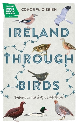 Ireland Through Birds: Journeys in Search of a Wild Nation book