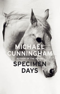 Specimen Days book