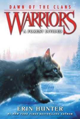 Warriors: Dawn of the Clans #5: A Forest Divided book
