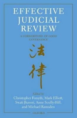 Effective Judicial Review book