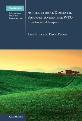 Agricultural Domestic Support Under the WTO: Experience and Prospects book