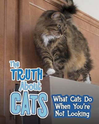 The Truth about Cats: What Cats Do When You're Not Looking by Mary Colson