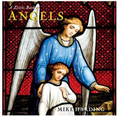 Little Book of Angels book