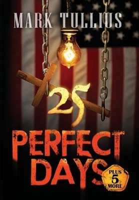 25 Perfect Days Plus 5 More book