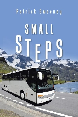 Small Steps book