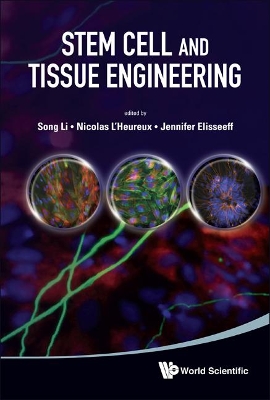 Stem Cell And Tissue Engineering book