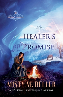 A Healer`s Promise book