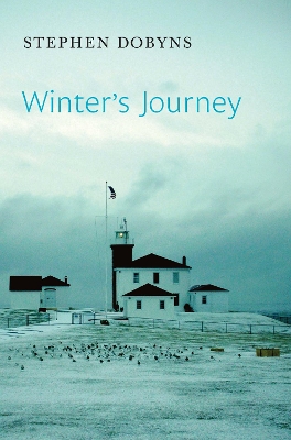 Winter's Journey book