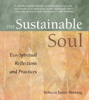 Sustainable Soul book