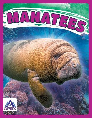 Manatees by Katie Chanez