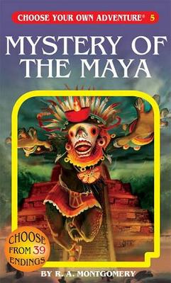 Mystery of the Maya book