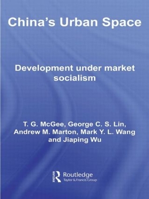China's Urban Space book
