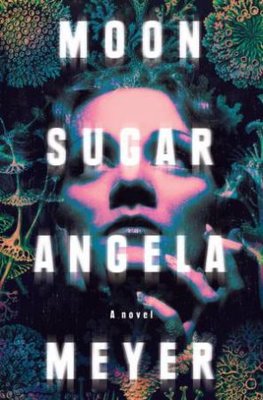 Moon Sugar: A Novel book