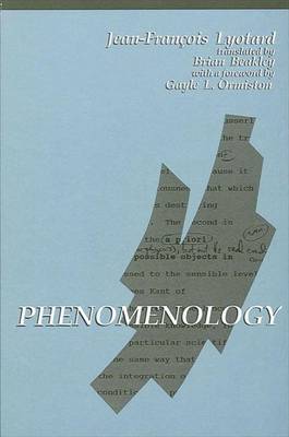 Phenomenology book