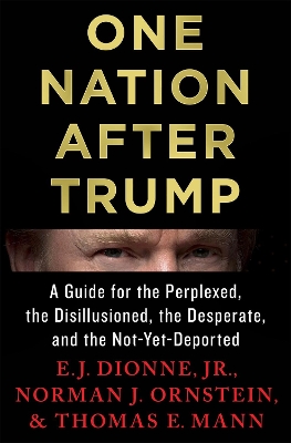 One Nation After Trump book