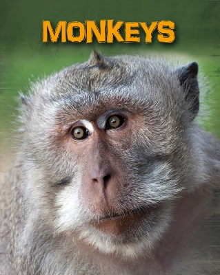 Monkeys book